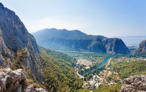 Omis